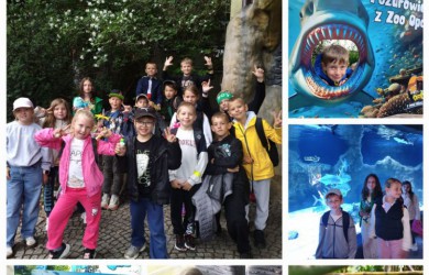 Niezapomniana wycieczka klas 1–3 do ZOO w Opolu